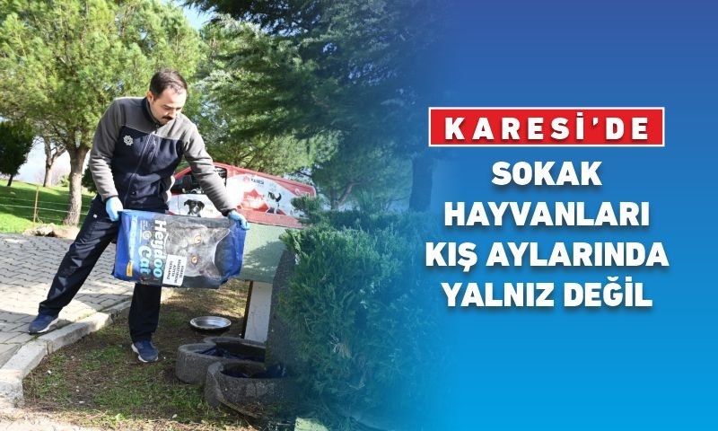 KARESİ'DE SOKAK HAYVANLARI KIŞ AYLARINDA YALNIZ DEĞİL